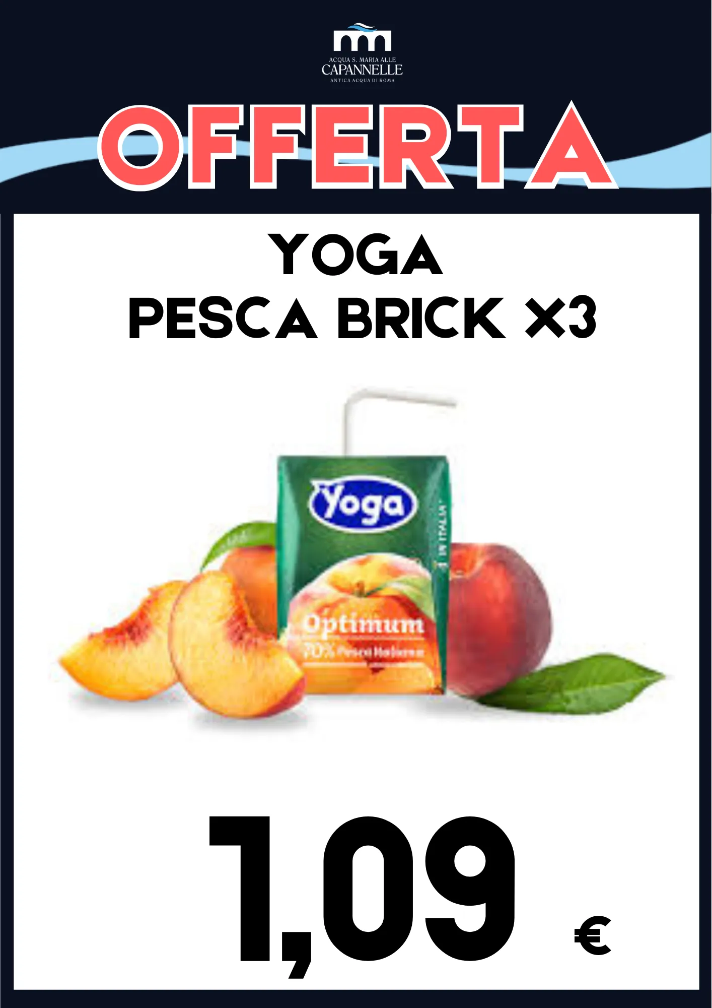 Yoga Pesca Brikc x3